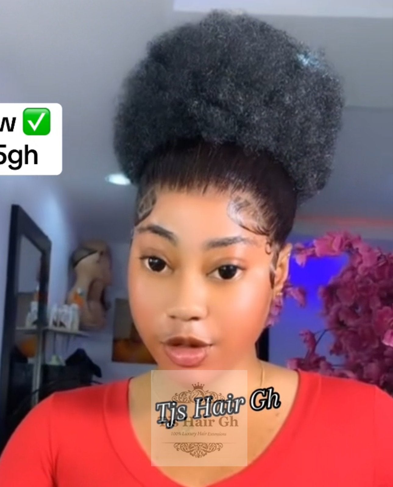 Frontal Ponytail