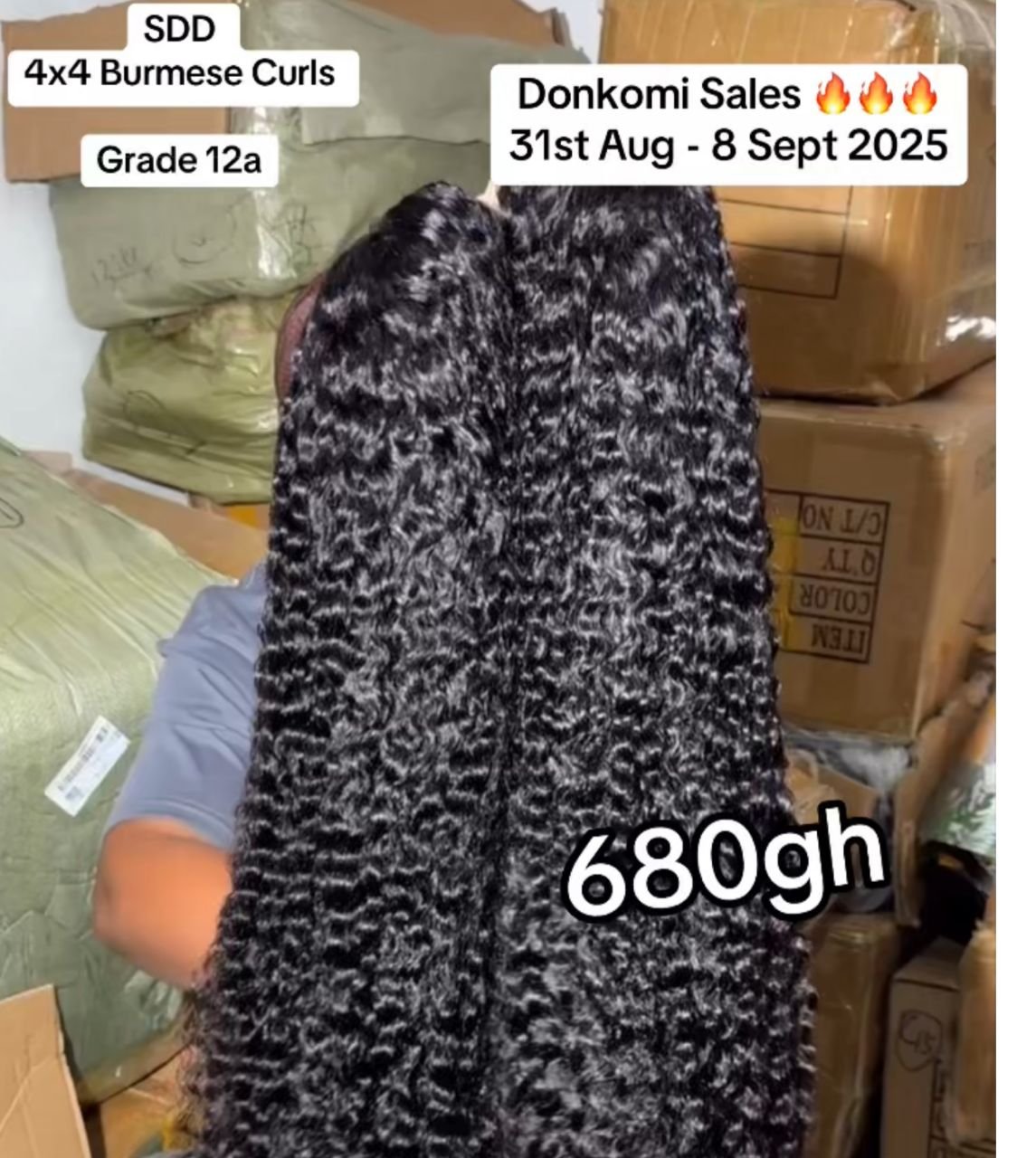 Burmese Curls